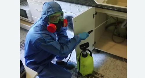 Уничтожение муравьев в квартире. Каховская