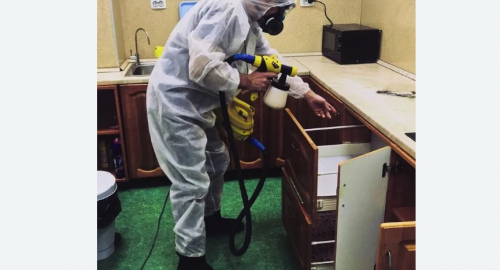 Дезинсекция квартиры. Каховская
