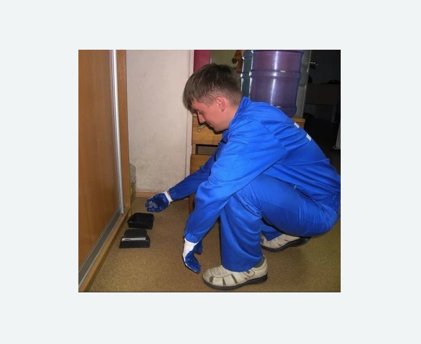 Дератизация крыс Дератизация крыс Каховская метро Москвы