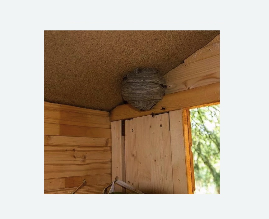 Обработка от ос Каховская метро Москвы Обработка от ос