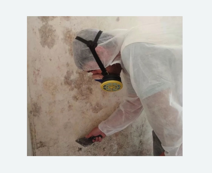 Обработка стен от плесени Обработка стен от плесени Каховская метро Москвы