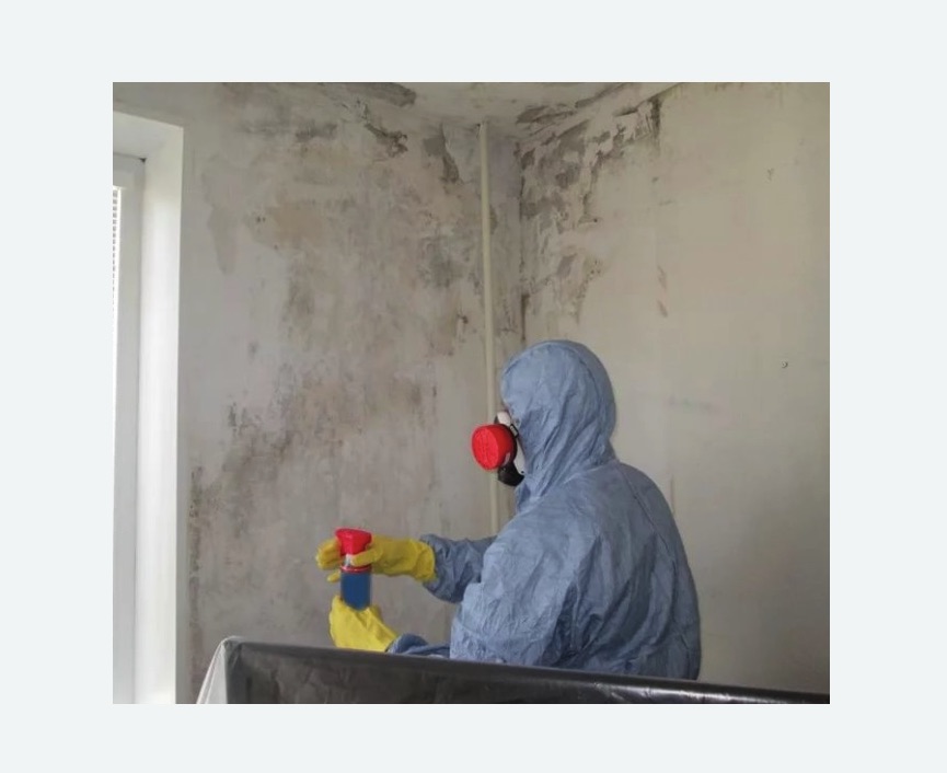 Удаление плесени в квартире Удаление плесени в квартире Каховская метро Москвы