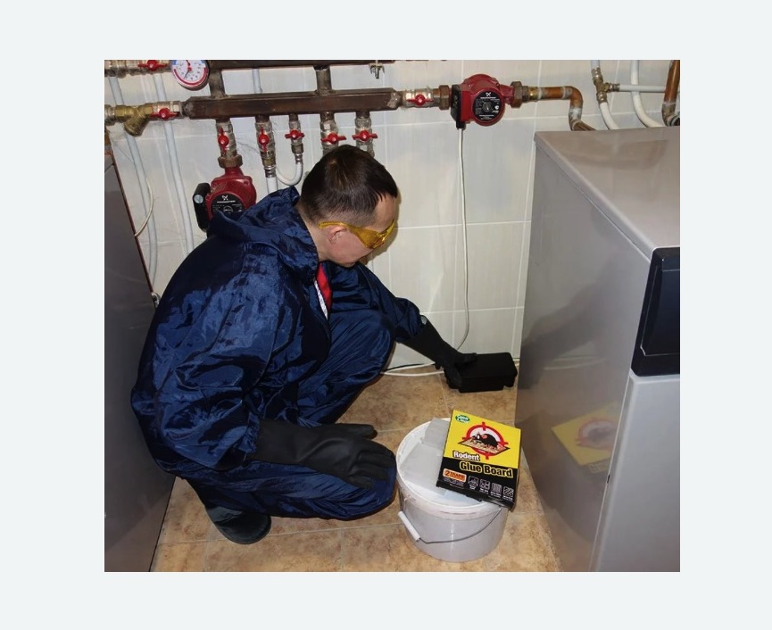 Уничтожение крыс Уничтожение крыс Каховская метро Москвы