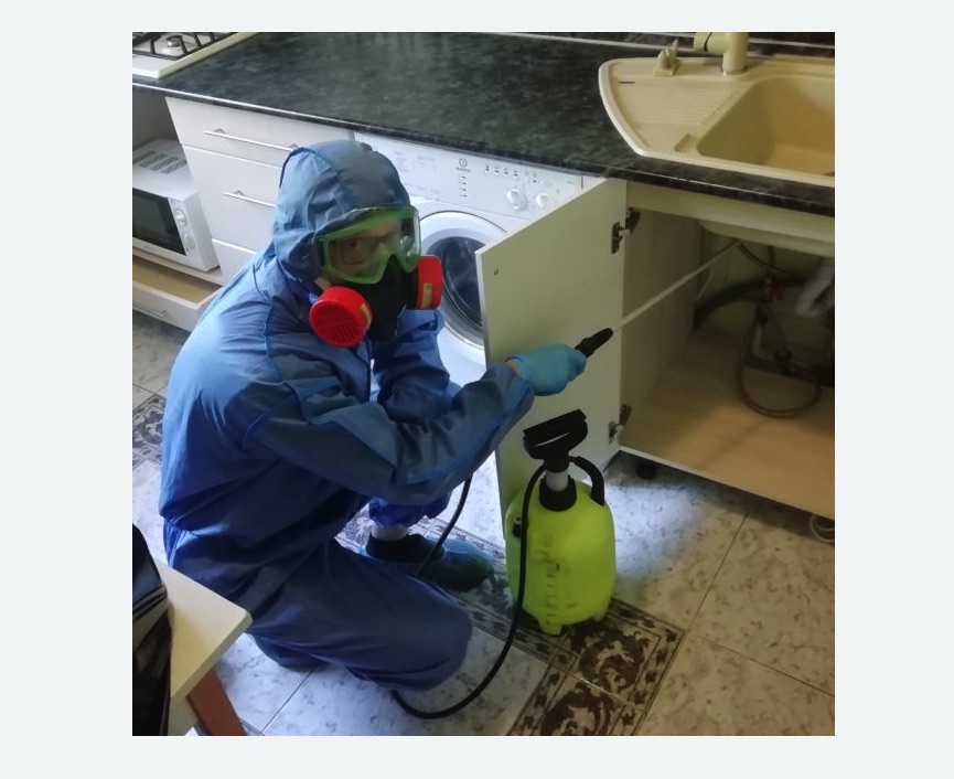 обработка от муравьев в квартире Каховская метро Москвы